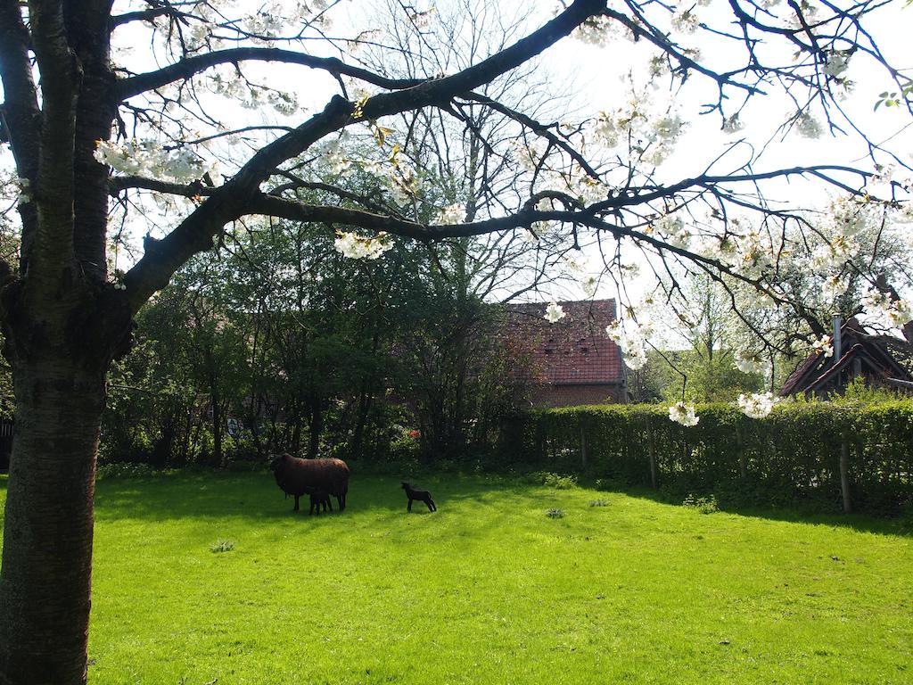 Grote Goesting Holiday House Wevelgem Ngoại thất bức ảnh